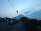 麺 画像1