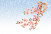 いよいよ、桜か 画像1