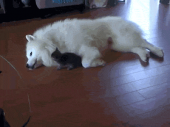ふぅ～(^^；…↓ 画像1