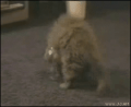 ガソリン高！！！(- -…↑