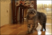 結構キツイわ…↓ 画像2