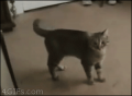 結構キツイわ…↓