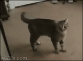 結構キツイわ…↓ 画像3