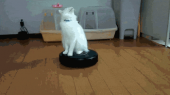 暑過ぎる…↑ 画像2