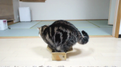 今日の東京行き…↑ 画像3