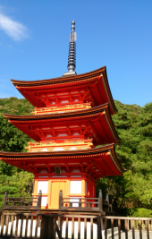 ノープランですが(^-^; 画像1