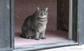 色々暑かったわ！…↓ 画像2