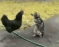 日本の一番長い日…↑