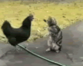 日本の一番長い日…↑ 画像2