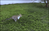 急な雨にご用心～(・・;) 画像2