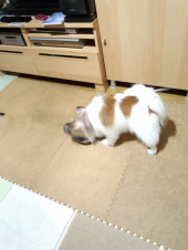 ☆夏バテ?熱中症?☆ 画像2