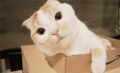 売れなきゃ…↑