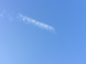 今日も…暑いね 画像2