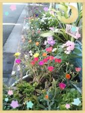 ☆夏野菜カレー(*^O^*) 画像2