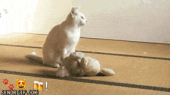 ヤバ！…↑ 画像2