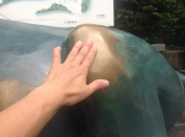 晴れ のんびり 画像3
