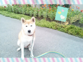 ☆長野に来てまで… 画像1