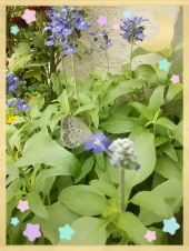 ☆次はお正月に！ 画像3