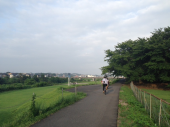 夕方ラン♪ 画像2