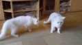 暑かったね～…→