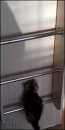 汗だくだったのに…↑
