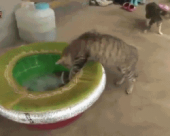 ハァーー…↓ 画像2