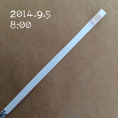 49日目：2014/09/05　ケトン体マイナスと美味しい豆富 画像1