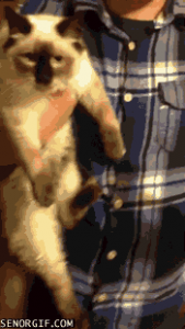 う～～～～～ん…↓ 画像1