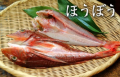 快調快調(^ー^)