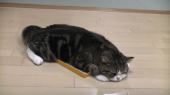 深夜のテレビ…↑ 画像3