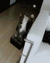 暑いんじゃ～（怒）…↑