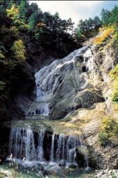 薄雲を通して日差しが届く(^^ゞ 画像2