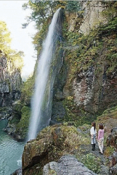 薄雲を通して日差しが届く(^^ゞ 画像3