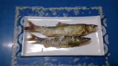 いただき物 画像2
