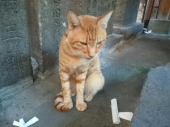 金曜日 画像2
