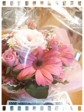 ☆あらららら～？(ﾟ▽ﾟ*) 画像1