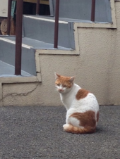 今月も終わり 画像1