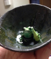 ぼちぼちです(^_^;) 画像3