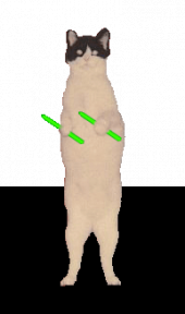 もしかしてだけど…→ 画像2