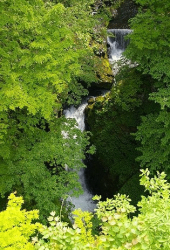 傘を持って外出を(・・;) 画像1