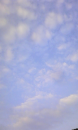 秋の空