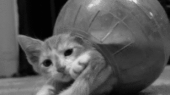禁断の…↑ 画像1