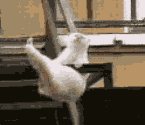 さて、お仕事っす！…↓ 画像1