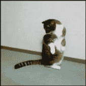 さて、お仕事っす！…↓ 画像2