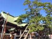 秋晴れ 画像1