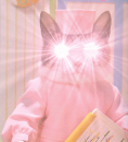 嵐の前の…↓