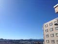 台風一過～♪