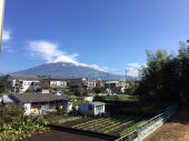 ラッシュ 画像2