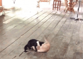 今日は休み～♪ 画像1
