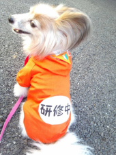 ☆久々のお仕事☆ 画像1
